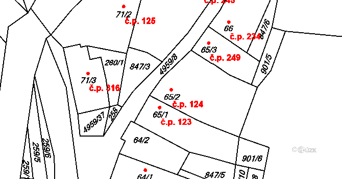 Černovice 124 na parcele st. 65/2 v KÚ Černovice u Tábora, Katastrální mapa