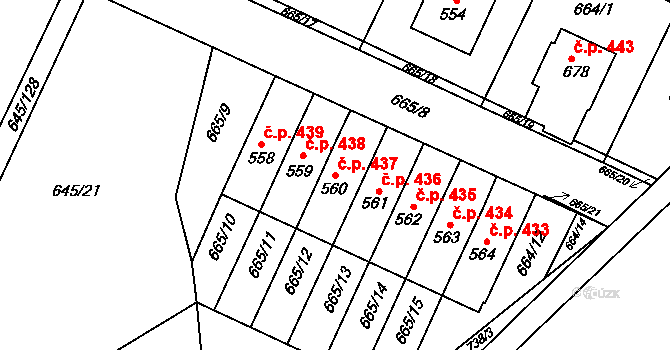 Krčín 437, Nové Město nad Metují na parcele st. 560 v KÚ Krčín, Katastrální mapa
