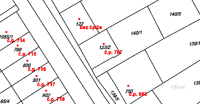 Rakvice 787 na parcele st. 123/2 v KÚ Rakvice, Katastrální mapa