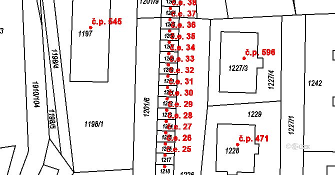 Olešnice 31, Katastrální mapa
