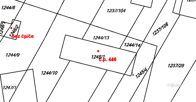Těšany 446 na parcele st. 1245/1 v KÚ Těšany, Katastrální mapa