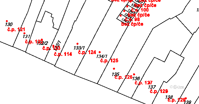 Rakovník I 125, Rakovník na parcele st. 134/1 v KÚ Rakovník, Katastrální mapa