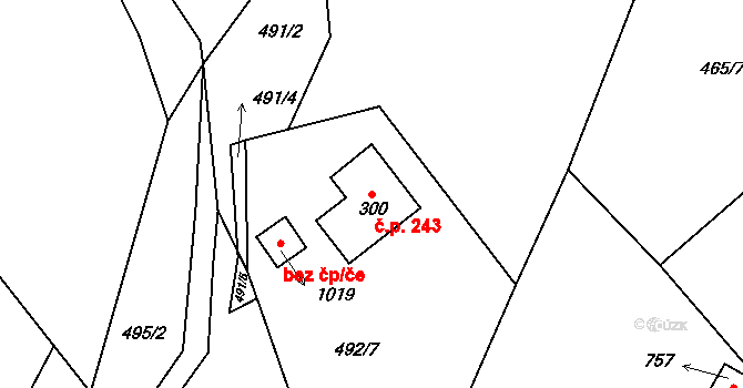 Raškovice 243 na parcele st. 300 v KÚ Raškovice, Katastrální mapa