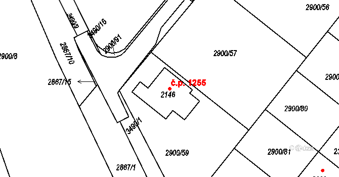 Rosice 1255 na parcele st. 2146 v KÚ Rosice u Brna, Katastrální mapa