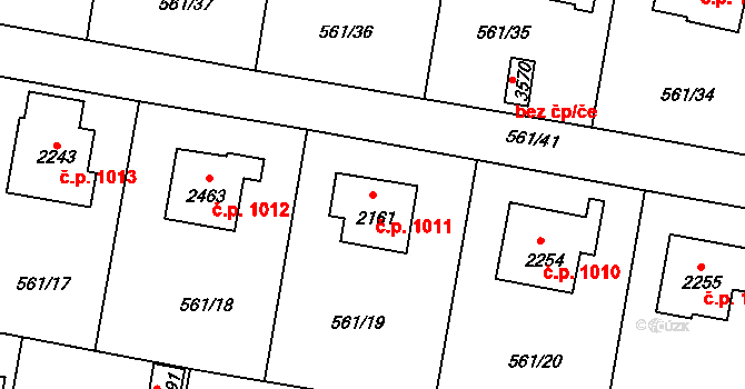 Vrchlabí 1011 na parcele st. 2161 v KÚ Vrchlabí, Katastrální mapa