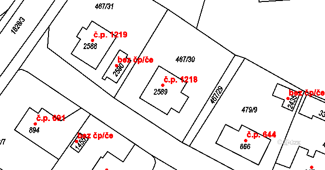 Vrchlabí 1218 na parcele st. 2589 v KÚ Vrchlabí, Katastrální mapa