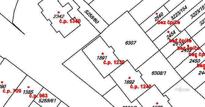 Velké Bílovice 1239 na parcele st. 1891 v KÚ Velké Bílovice, Katastrální mapa