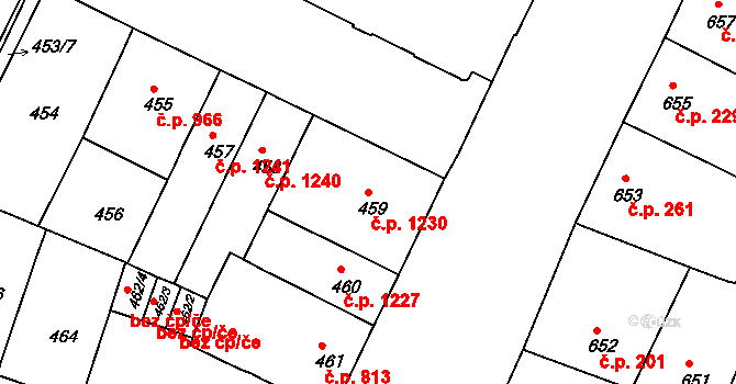 Husovice 1230, Brno na parcele st. 459 v KÚ Husovice, Katastrální mapa