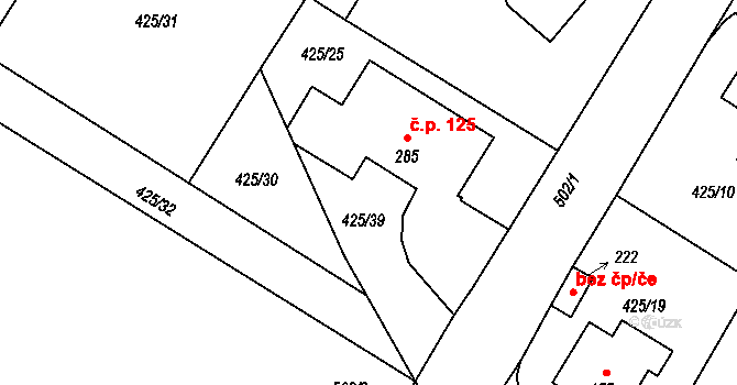 Patřín 125, Loučeň na parcele st. 285 v KÚ Patřín, Katastrální mapa