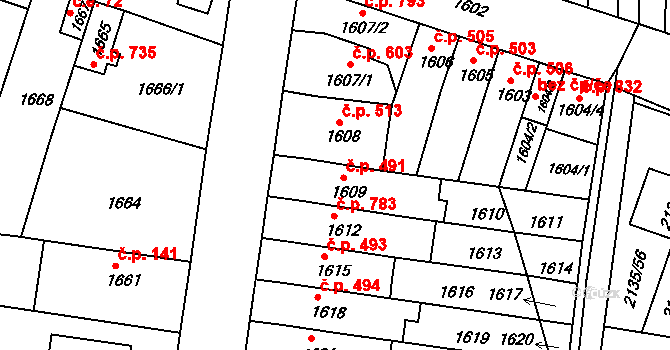 Tuřany 491, Brno na parcele st. 1609 v KÚ Tuřany, Katastrální mapa