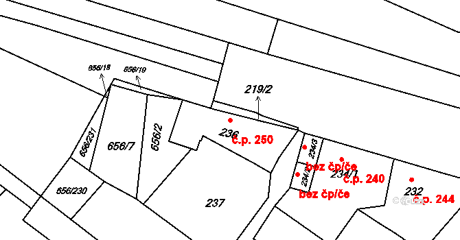 Droužkovice 250 na parcele st. 236 v KÚ Droužkovice, Katastrální mapa