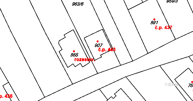 Vrbice 443 na parcele st. 907 v KÚ Vrbice u Velkých Pavlovic, Katastrální mapa