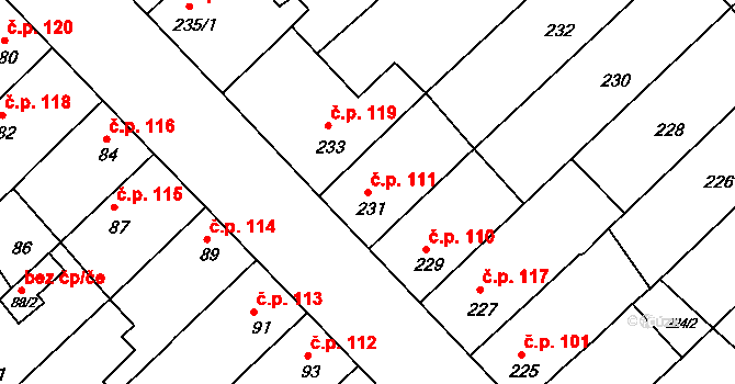 Radostice 111 na parcele st. 231 v KÚ Radostice u Brna, Katastrální mapa