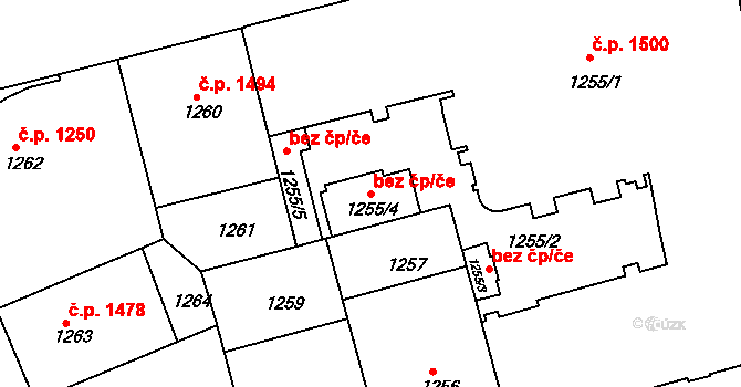 Praha 49189158 na parcele st. 1255/4 v KÚ Žižkov, Katastrální mapa