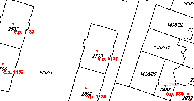 Cheb 1137 na parcele st. 2503 v KÚ Cheb, Katastrální mapa