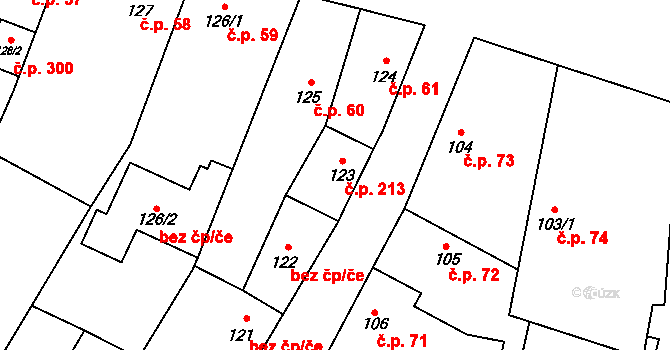 Rožďalovice 213 na parcele st. 123 v KÚ Rožďalovice, Katastrální mapa