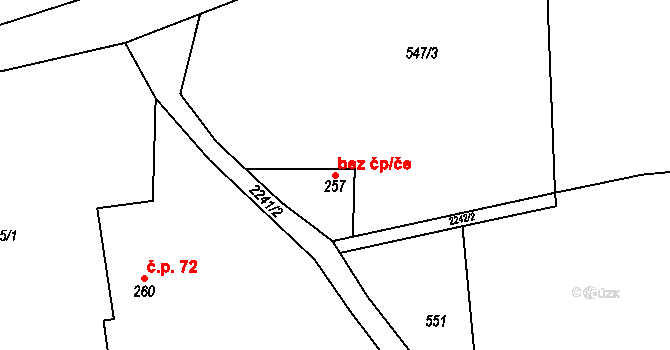 Olešnice v Orlických horách 38477165 na parcele st. 257 v KÚ Olešnice v Orlických horách, Katastrální mapa