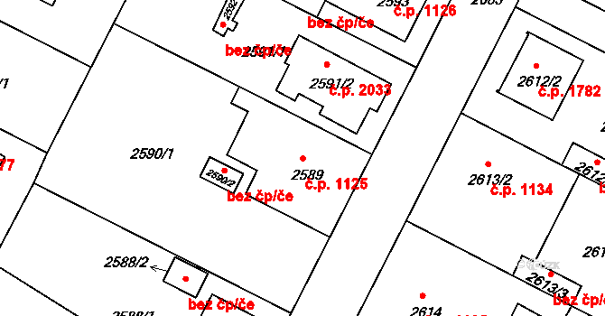 České Budějovice 5 1125, České Budějovice na parcele st. 2589 v KÚ České Budějovice 5, Katastrální mapa