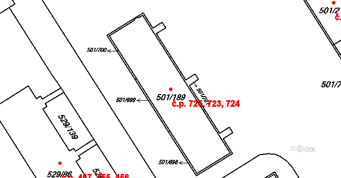 Ráj 723,724,725, Karviná na parcele st. 501/189 v KÚ Ráj, Katastrální mapa