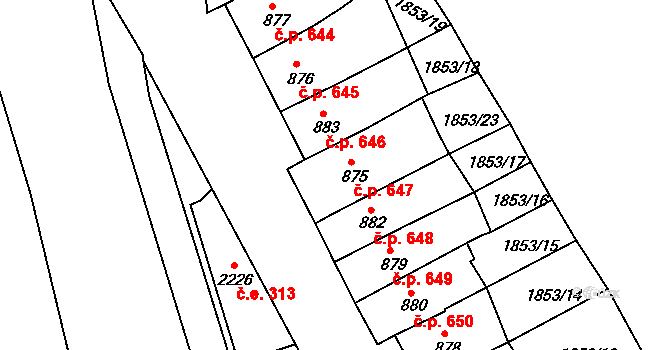 Jáchymov 647 na parcele st. 875 v KÚ Jáchymov, Katastrální mapa