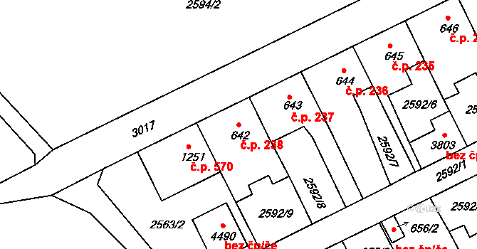 Nové Město 238, Rokycany na parcele st. 642 v KÚ Rokycany, Katastrální mapa