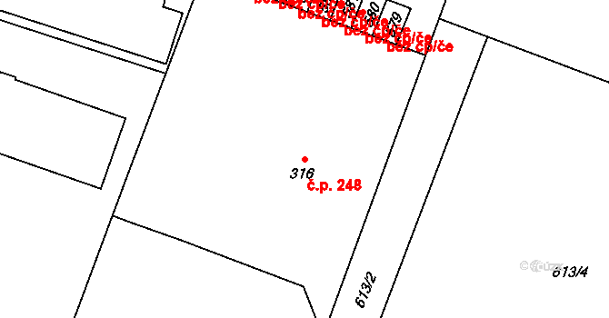 Mladé Buky 248 na parcele st. 316 v KÚ Mladé Buky, Katastrální mapa
