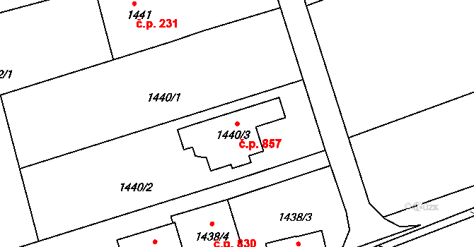 Planá nad Lužnicí 857 na parcele st. 1440/3 v KÚ Planá nad Lužnicí, Katastrální mapa