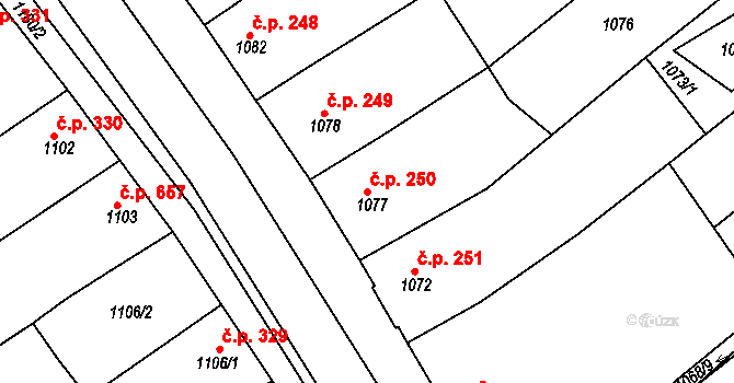 Šardice 250 na parcele st. 1077 v KÚ Šardice, Katastrální mapa
