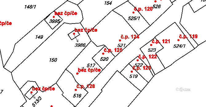 Plešivec 125, Český Krumlov na parcele st. 520 v KÚ Český Krumlov, Katastrální mapa