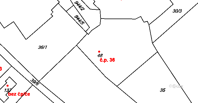 Nesvačily 36, Bystřice na parcele st. 48 v KÚ Nesvačily u Bystřice, Katastrální mapa