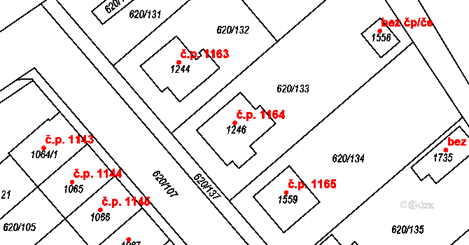 Kralupy nad Vltavou 1164 na parcele st. 1246 v KÚ Kralupy nad Vltavou, Katastrální mapa