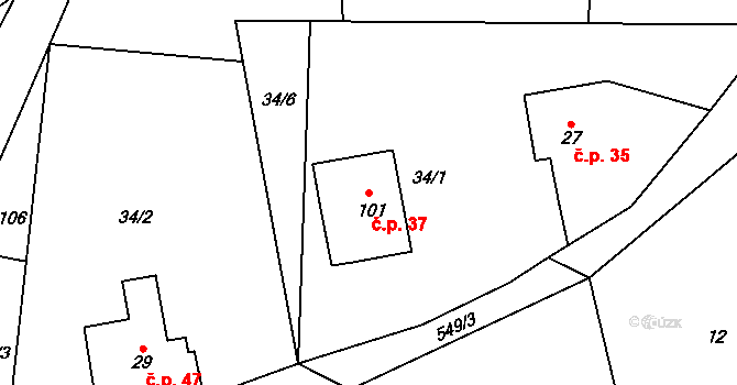 Mlýnický Dvůr 37, Červená Voda na parcele st. 101 v KÚ Mlýnický Dvůr, Katastrální mapa