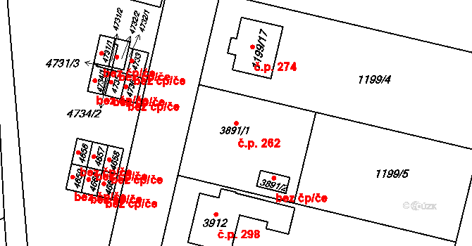 Žamberk 262 na parcele st. 3891/1 v KÚ Žamberk, Katastrální mapa