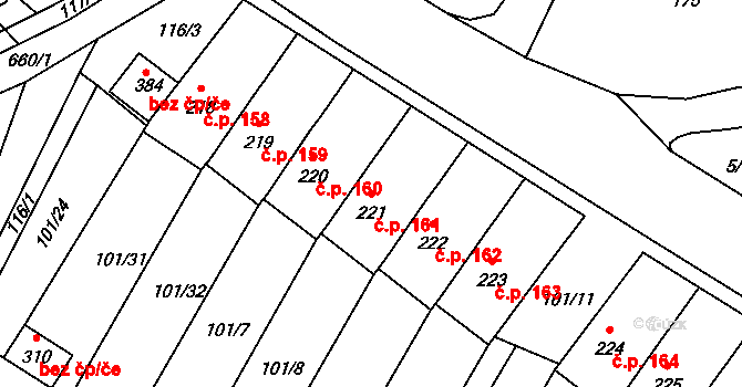 Cerekvice nad Loučnou 161 na parcele st. 221 v KÚ Cerekvice nad Loučnou, Katastrální mapa