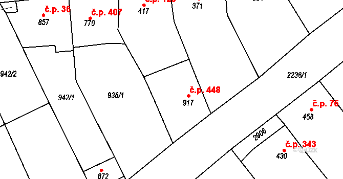 Vrbice 448 na parcele st. 917 v KÚ Vrbice u Velkých Pavlovic, Katastrální mapa