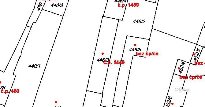 Třešť 50107216 na parcele st. 446/3 v KÚ Třešť, Katastrální mapa