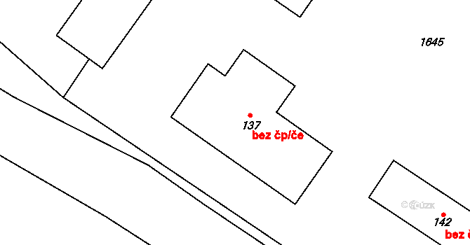 Lípa 38707217 na parcele st. 137 v KÚ Lípa u Havlíčkova Brodu, Katastrální mapa