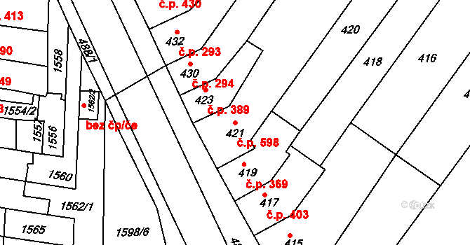 Tuřany 598, Brno na parcele st. 421 v KÚ Tuřany, Katastrální mapa
