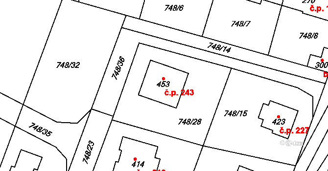 Šmolovy 243, Havlíčkův Brod na parcele st. 453 v KÚ Šmolovy u Havlíčkova Brodu, Katastrální mapa