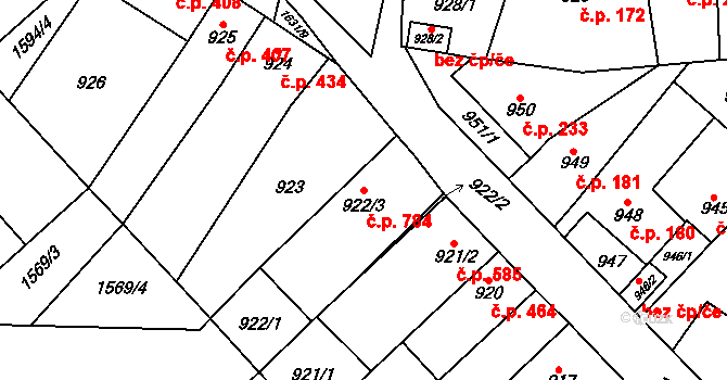Drnovice 784 na parcele st. 922/3 v KÚ Drnovice u Vyškova, Katastrální mapa