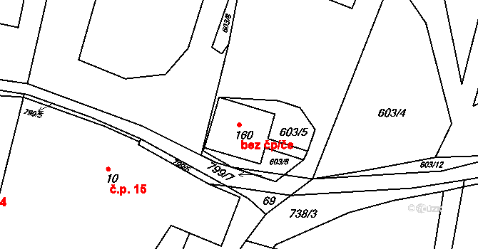 Orlické Podhůří 49584227 na parcele st. 160 v KÚ Rviště, Katastrální mapa