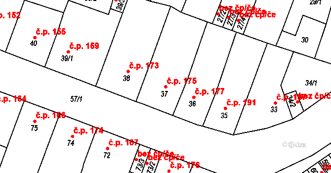 Novosedlice 175 na parcele st. 37 v KÚ Novosedlice, Katastrální mapa