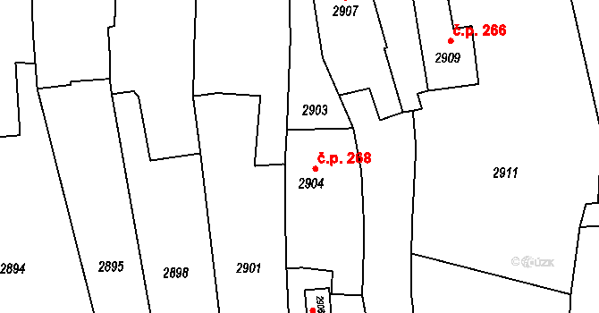 Třešť 268 na parcele st. 2904 v KÚ Třešť, Katastrální mapa