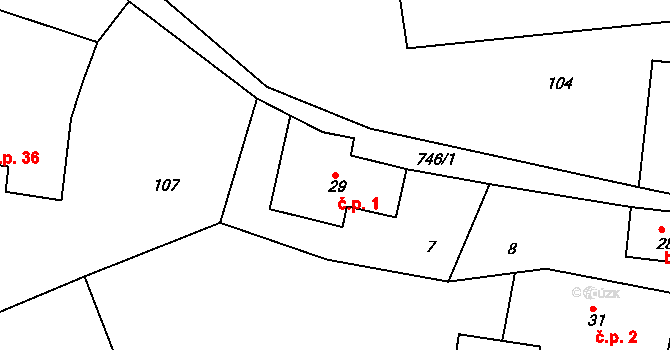Rviště 1, Orlické Podhůří na parcele st. 29 v KÚ Rviště, Katastrální mapa