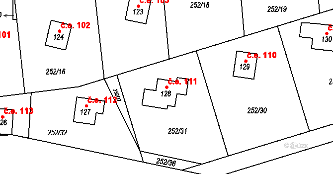 Říčky 111, Orlické Podhůří na parcele st. 128 v KÚ Říčky u Orlického Podhůří, Katastrální mapa
