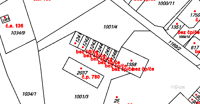 Kdyně 39230261 na parcele st. 1244 v KÚ Kdyně, Katastrální mapa
