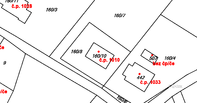 Dvořiště 1010, Bystřice nad Pernštejnem na parcele st. 160/10 v KÚ Dvořiště u Bystřice nad Pernštejnem, Katastrální mapa