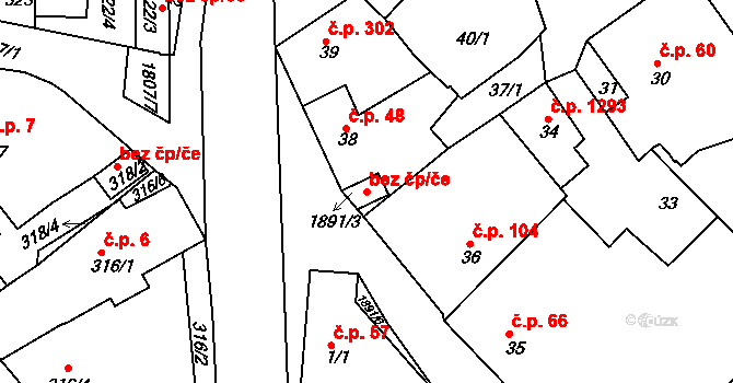 Plzeň 40083268 na parcele st. 1891/3 v KÚ Černice, Katastrální mapa