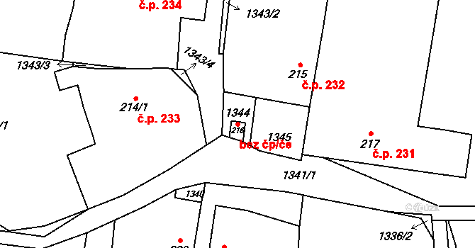 Tisová 45505268 na parcele st. 216 v KÚ Tisová u Vysokého Mýta, Katastrální mapa