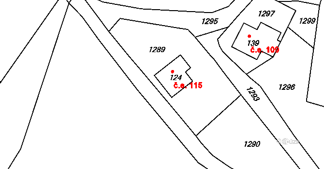 Sněžná 115, Kraslice na parcele st. 124 v KÚ Sněžná, Katastrální mapa